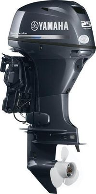 Yamaha-outboards T25LWTC - main image