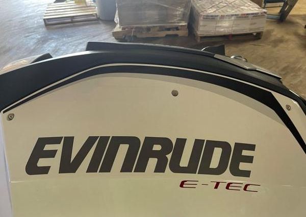 Evinrude 250XAGF image