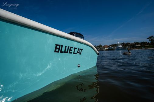 Bluecat 17-BLUECAT image