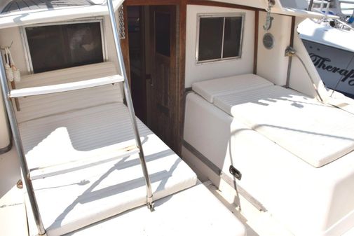 Blackfin 32 Flybridge image