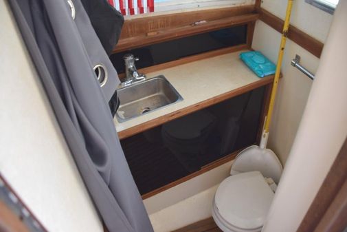 Blackfin 32 Flybridge image