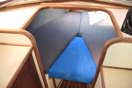 Blackfin 32 Flybridge image