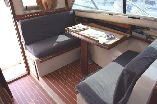 Blackfin 32 Flybridge image