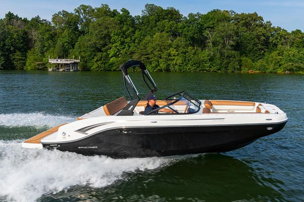 Bayliner DX 2050 - main image