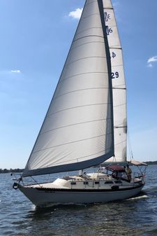 Islander 36 image