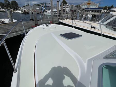 Back Cove 32 image