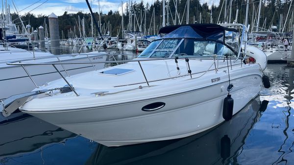 Sea Ray 290 Amberjack 