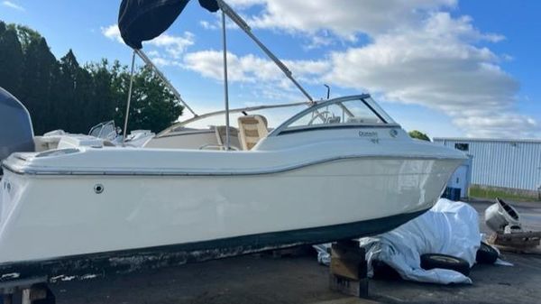 Scout dorado 210 
