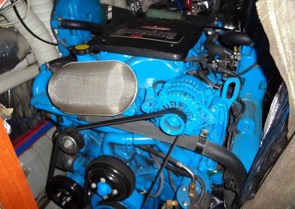 Bluewater 5200 Signature Edition image