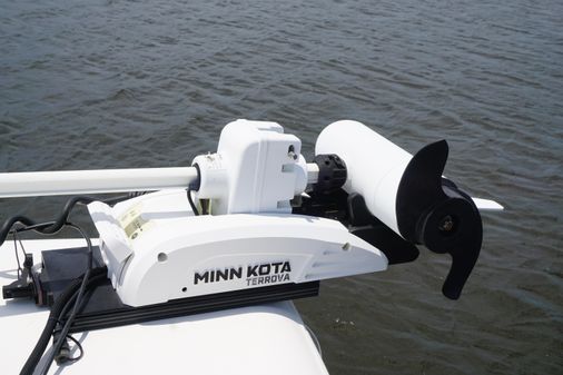 Cobia 320 CC image