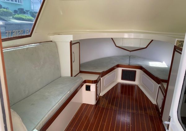 Bertram 31 Flybridge Cruiser image