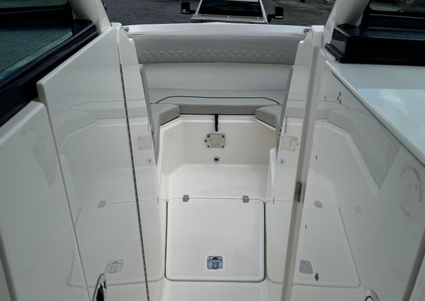 Pursuit DC 295 Dual Console image