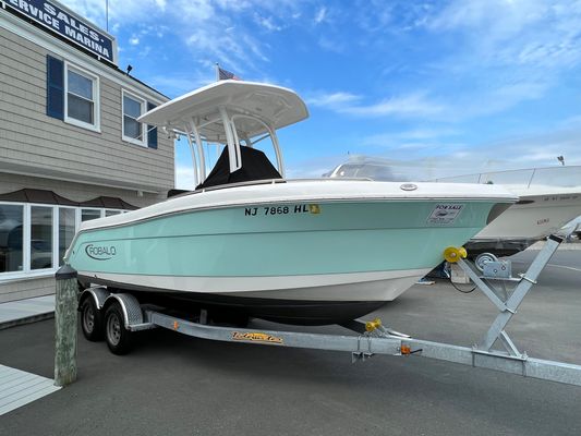 Robalo R222-CENTER-CONSOLE - main image