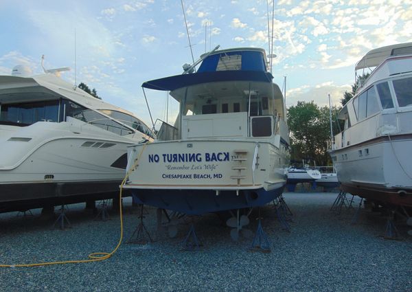 Hatteras Yachtfish image