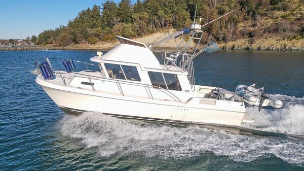 SeaSport 3200 Pacific