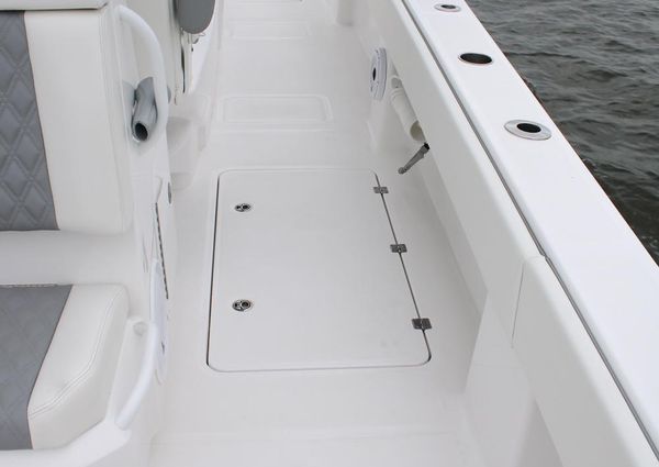 Invincible 35 Catamaran image