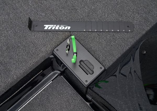 Triton 19-TRX image