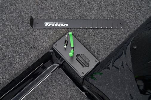 Triton 19-TRX image