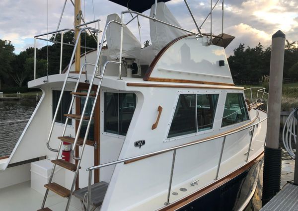 Wilbur 34-FLYBRIDGE image