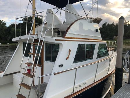 Wilbur 34-FLYBRIDGE image