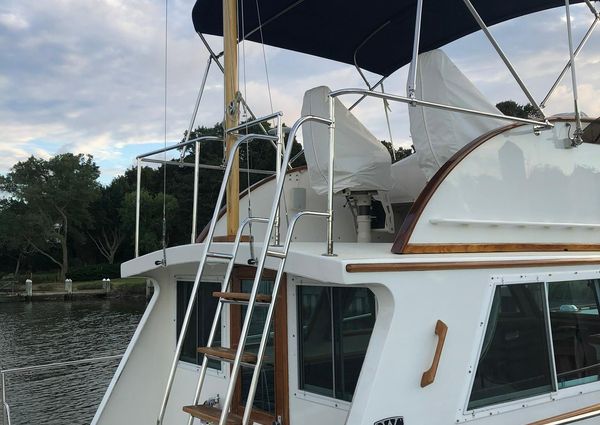 Wilbur 34-FLYBRIDGE image