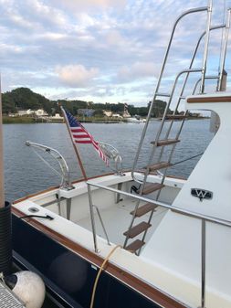 Wilbur 34-FLYBRIDGE image