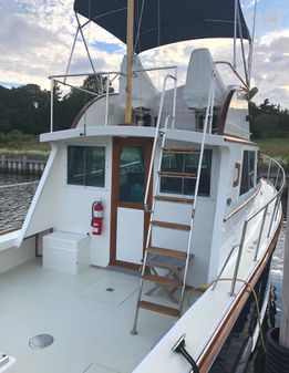 Wilbur 34-FLYBRIDGE image