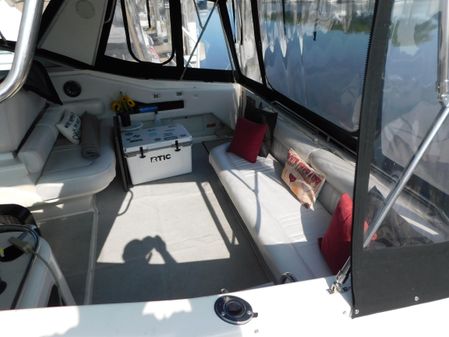 Sea Ray 350 Express image