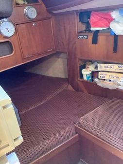 SHE 36 image
