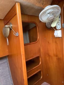 SHE 36 image
