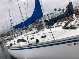 Hunter 31 image