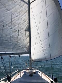 Hunter 31 image