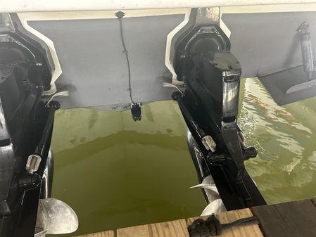 Formula 31 Performance Cruiser image