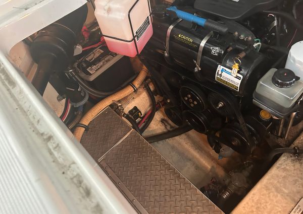 Formula 31 Performance Cruiser image