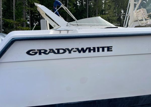 Grady-white 300-MARLIN image