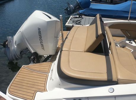 Sea Ray 21 SPX OB image