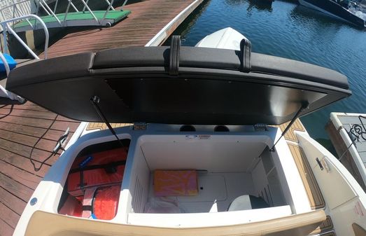 Sea Ray 21 SPX OB image