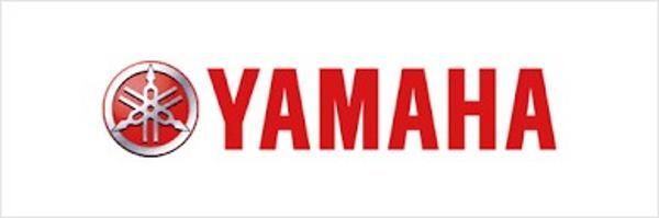 Yamaha FT9.9ELF - main image