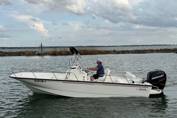 Boston-whaler 210-MONTAUK - main image