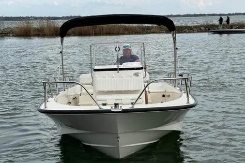 Boston Whaler 210 Montauk image