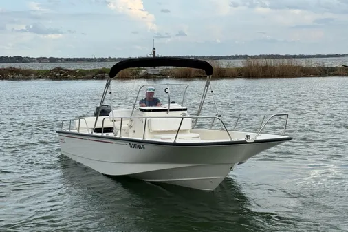 Boston Whaler 210 Montauk image