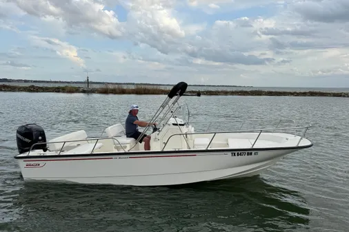 Boston Whaler 210 Montauk image