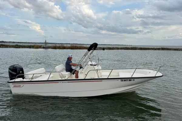 Boston-whaler 210-MONTAUK image