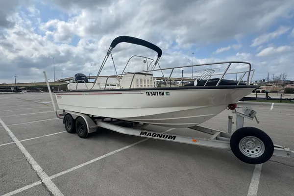 Boston-whaler 210-MONTAUK image
