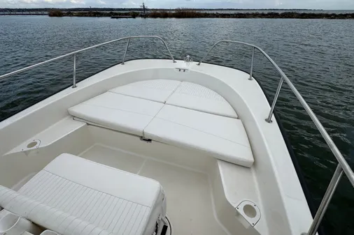 Boston Whaler 210 Montauk image