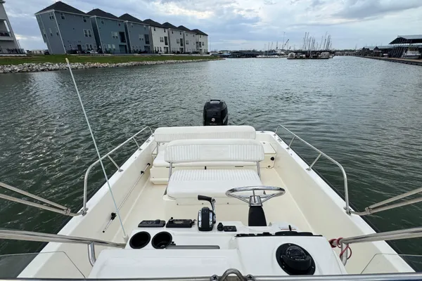 Boston-whaler 210-MONTAUK image