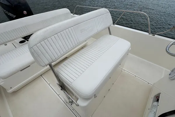 Boston-whaler 210-MONTAUK image