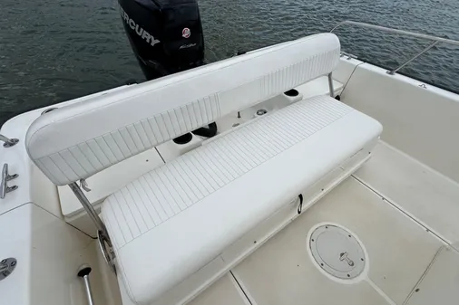 Boston Whaler 210 Montauk image