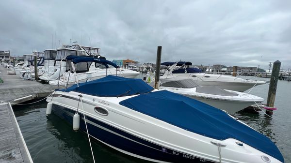 Sea Ray 260 Sundeck