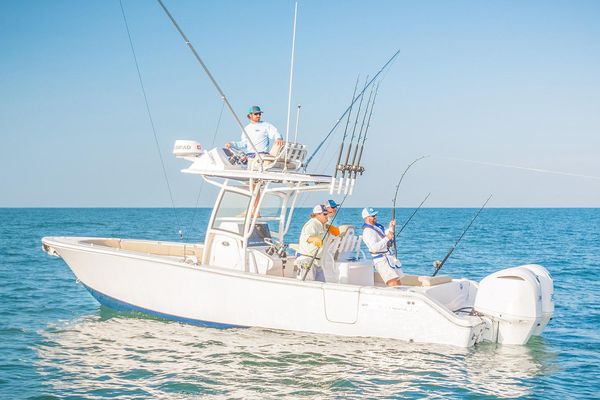 Sportsman Open 282TE Center Console - main image